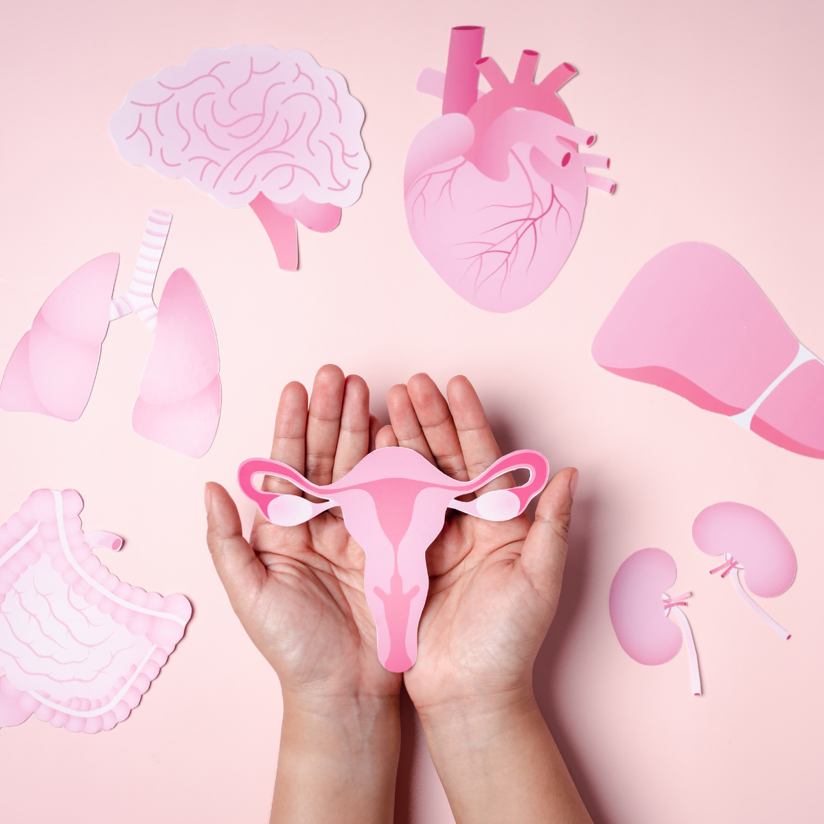 spooky2 rife pcos behandlung(1)