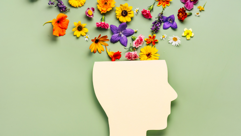 Emotionale Unterstützung mit Spooky2 Community